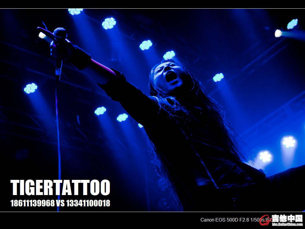 tigertattoo-0768.jpg