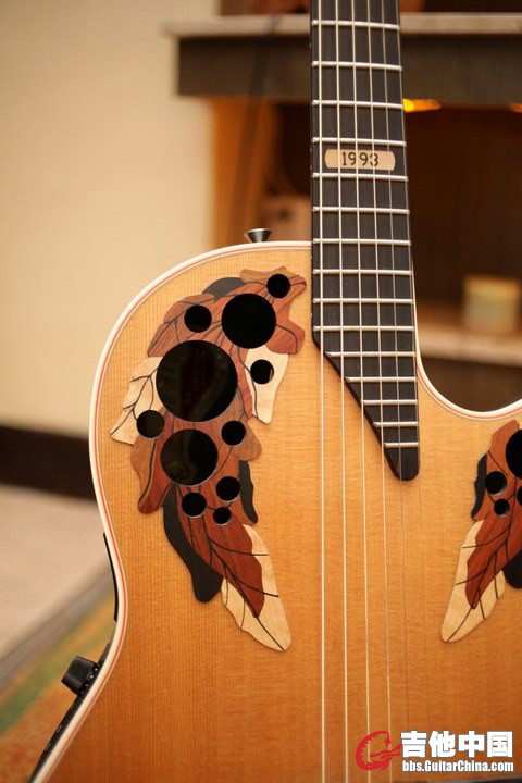 ovation3.jpg