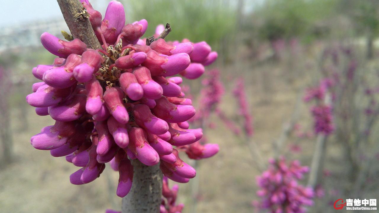 20120405_020.jpg