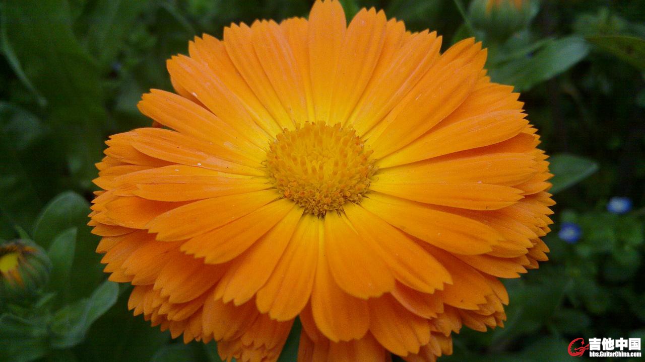 20120415_001.jpg