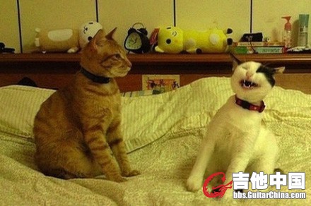如果你有一个笑点很低的朋友.jpg