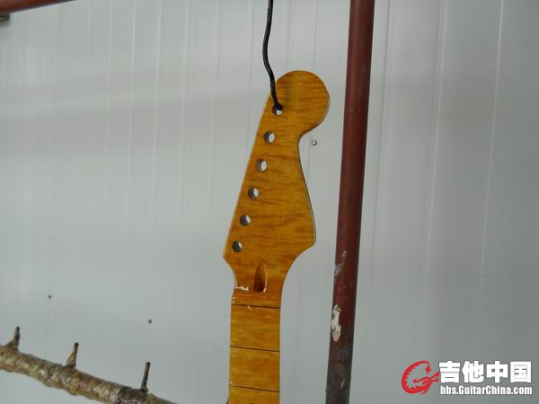 照片 209.jpg
