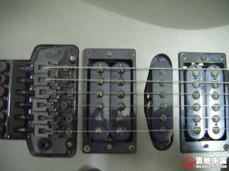DSCF1559.JPG