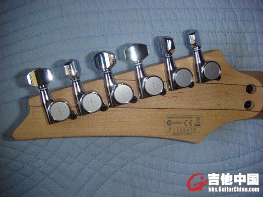 琴头背面.jpg