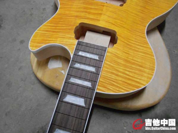 照片 337.jpg