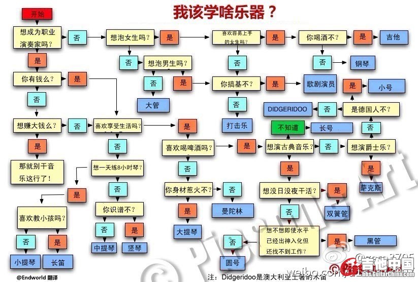 我该学啥乐器.jpg