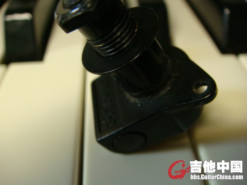 DSC00690_编辑.JPG