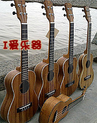 TUT-7005.jpg