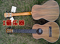 TUT-70095.jpg