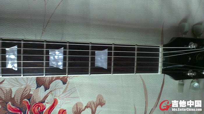 IMAG0084.jpg