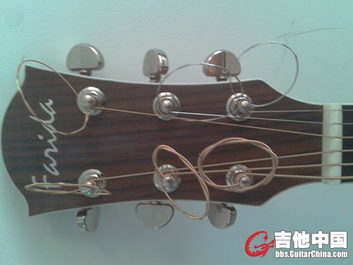 法丽达6.jpg