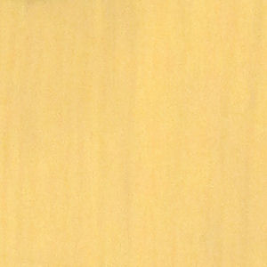 Guitar-Mill-Nocaster-Blonde 1.jpg