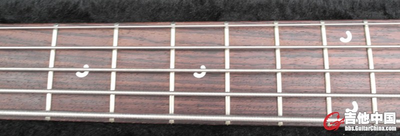 DSCN0504.JPG