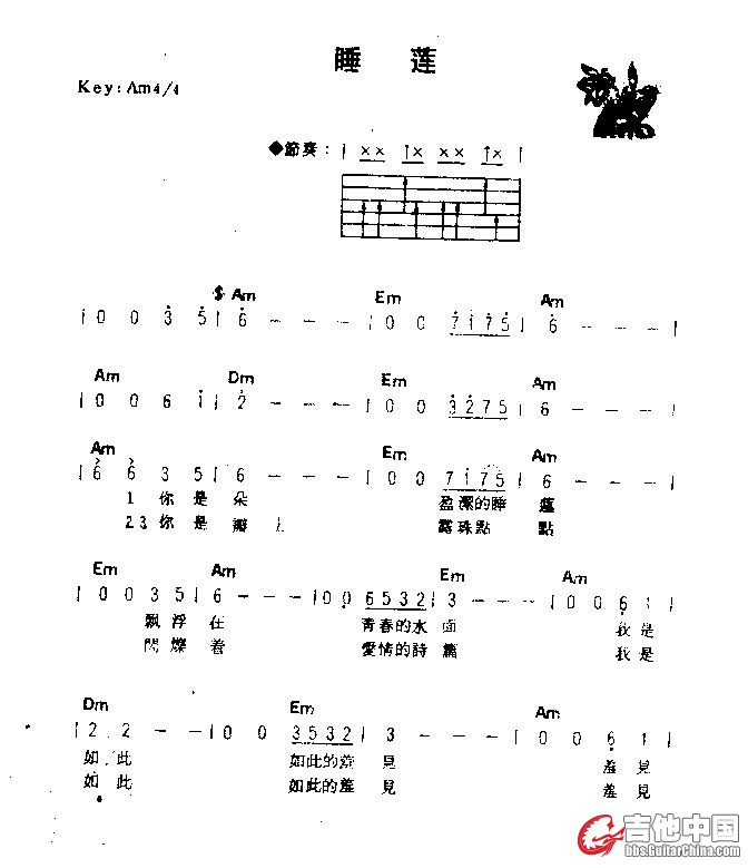 睡莲1