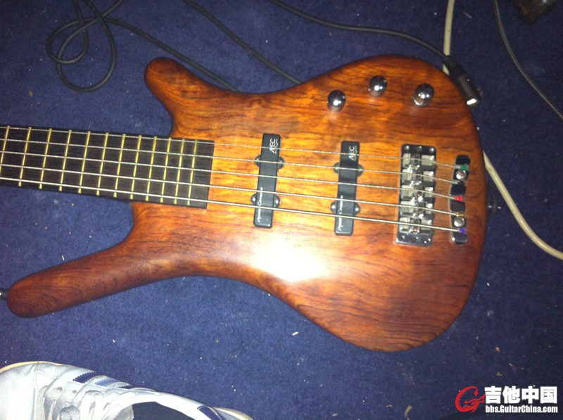 BASS1.jpg