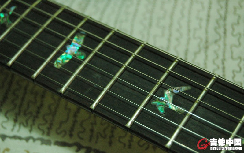 PRS-ASH 6.jpg