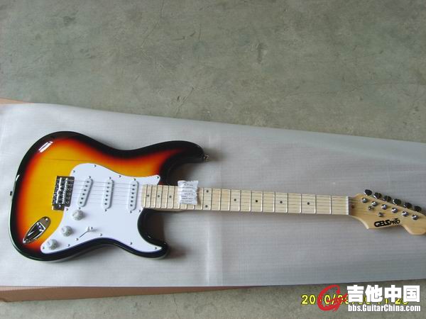 S6001753.JPG