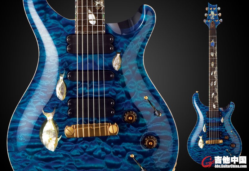 PRS 951.jpg
