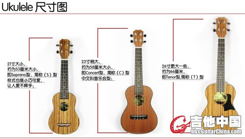 UKULELE尺寸图片.jpg
