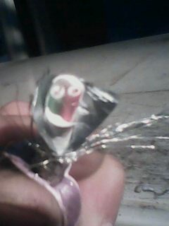 IMG0028A.jpg