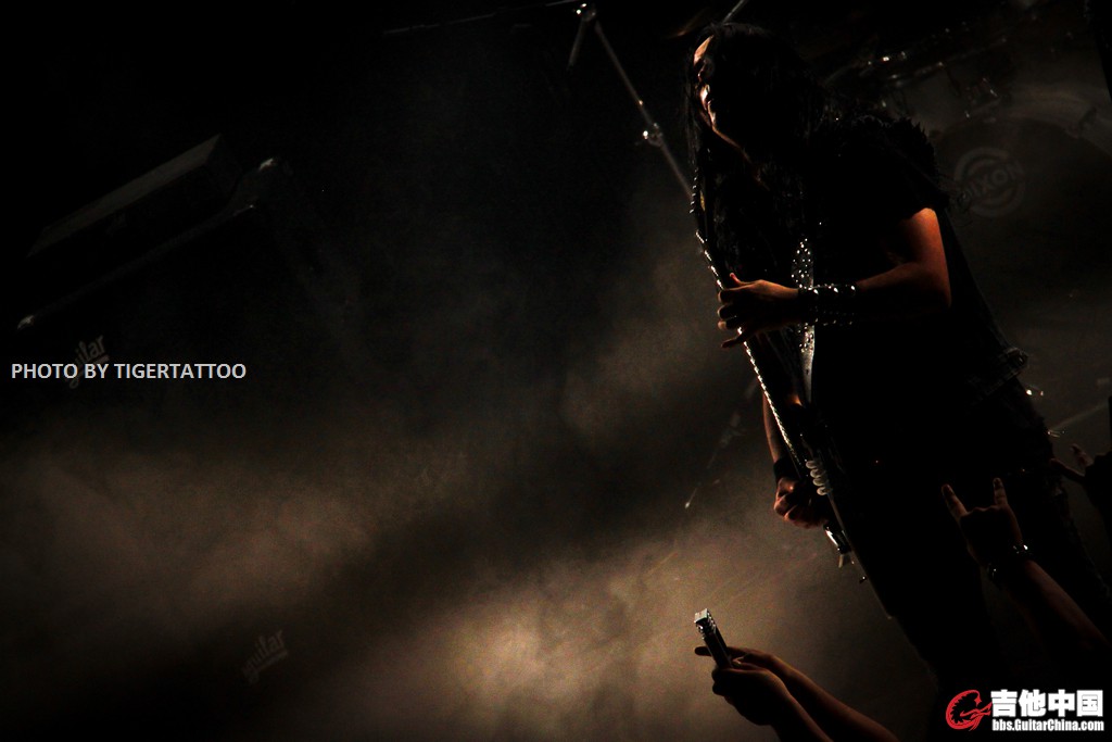tigertattoo-9753.jpg