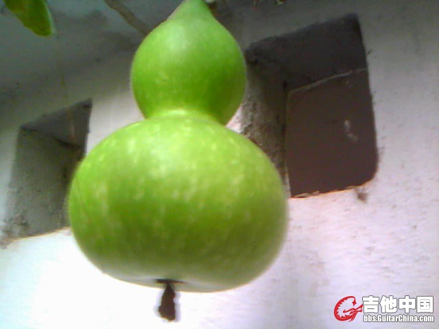 20120827A004.jpg