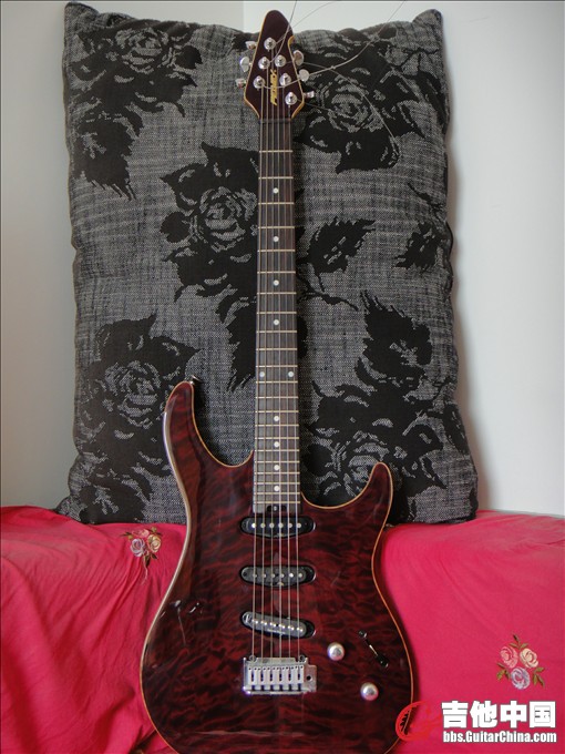 peavey.JPG
