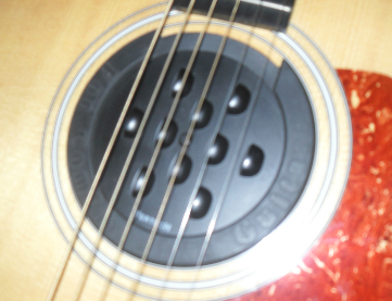 SDC13982_meitu_17.jpg