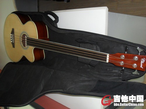 SDC13176_500.JPG