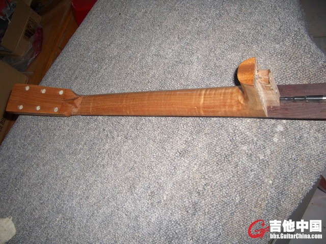 琴颈.jpg