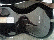 IMG_20121006_085847.jpg