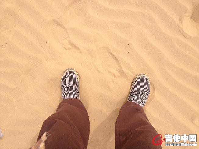 11胡杨一路 089.jpg