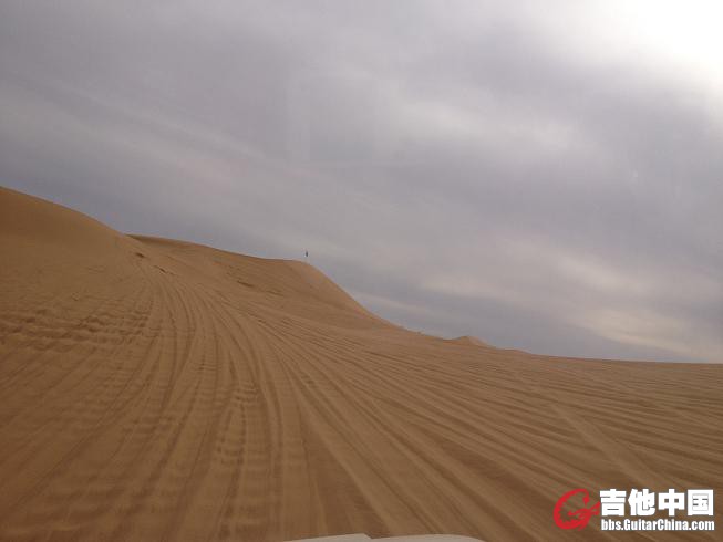 11胡杨一路 117.jpg