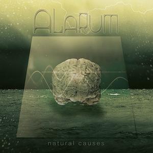 Alarum  - Natural Causes.jpg