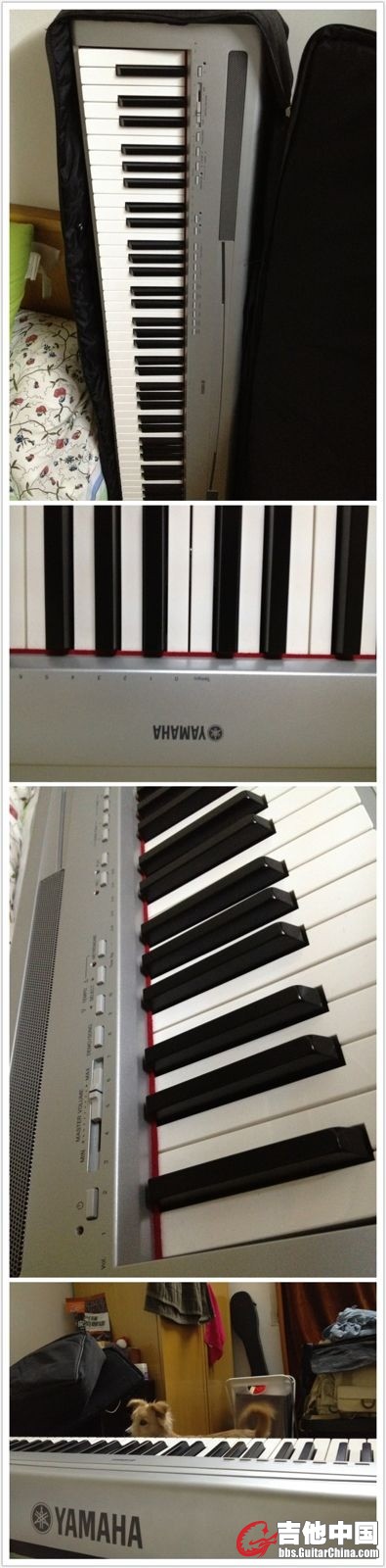 a0e7fd64jw1dxv62x3j8qj.jpg