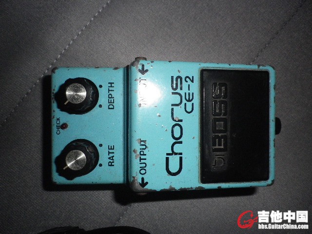 IMGP0969.JPG