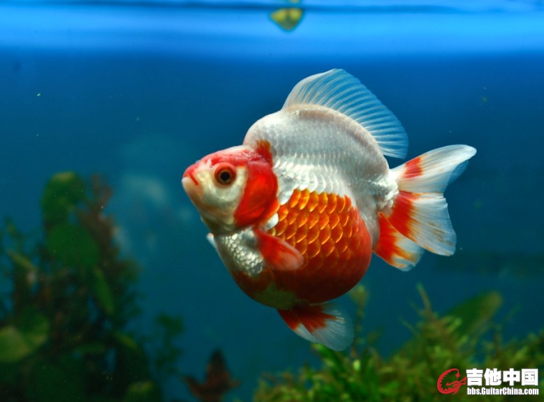 7054bb82ed3bb757a18bb79f.jpg