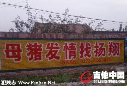 扬翔是个好同志