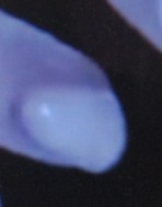 0644-2.jpg