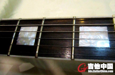 sg888.jpg