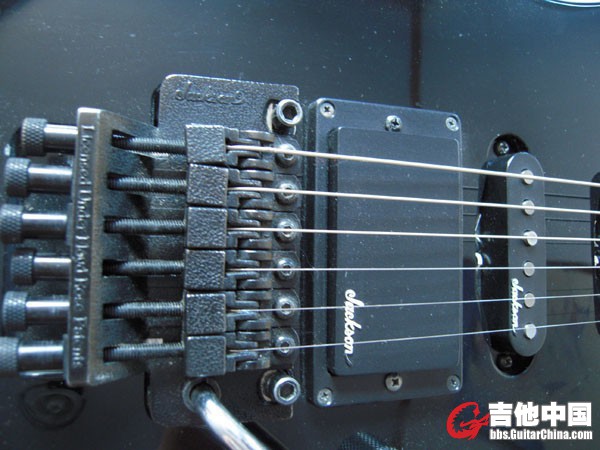 DSCN7402.jpg