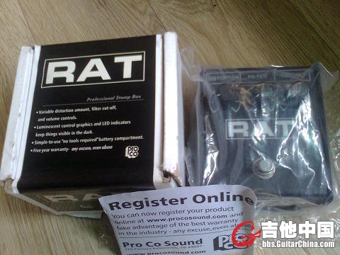rat2 a.JPG