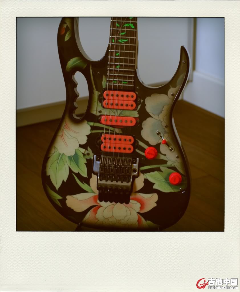 VaiGuitar.jpg