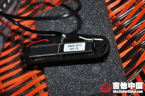 nEO_IMG_DSC_1201.jpg