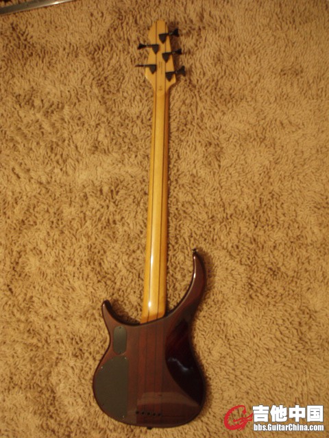 peavey bxp (2).JPG
