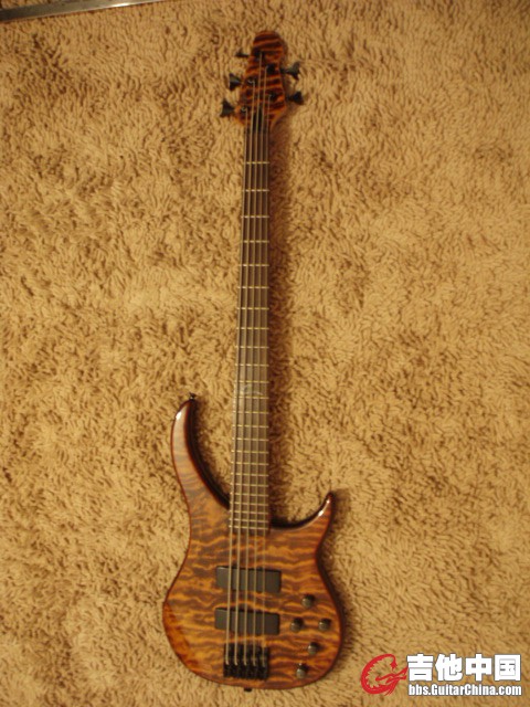 peavey bxp (1).JPG