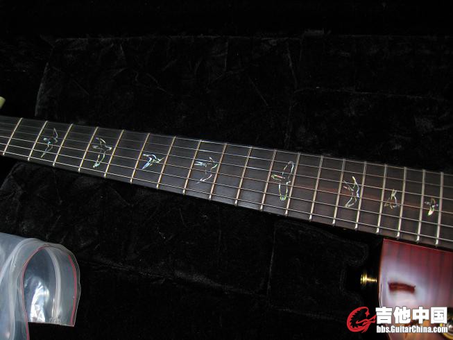 BADCAT PRS 015.jpg