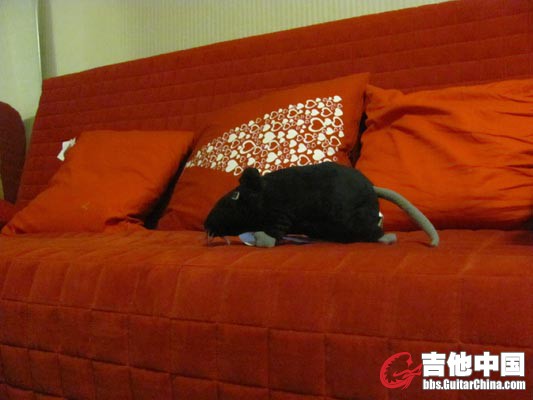 花花的宠物.....jpg