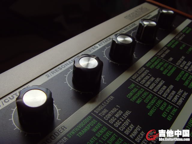 SNV31586.jpg