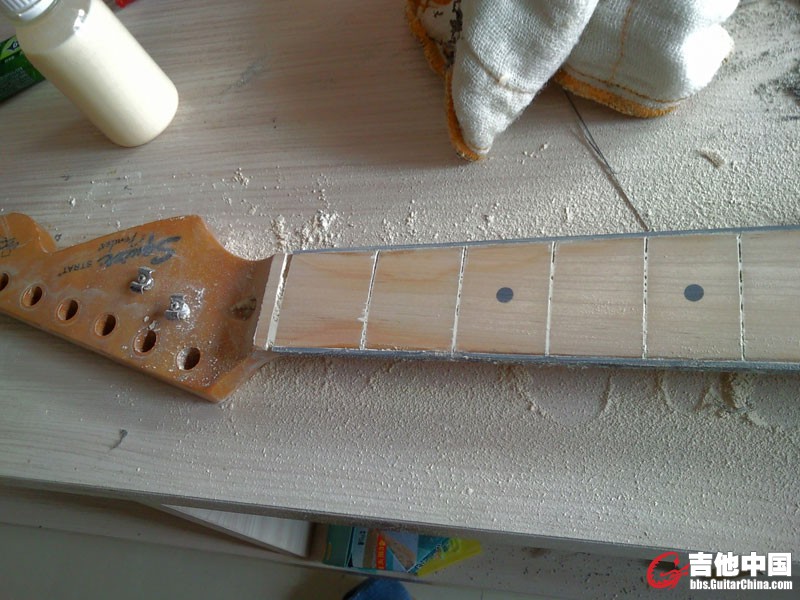 SNC00435.jpg